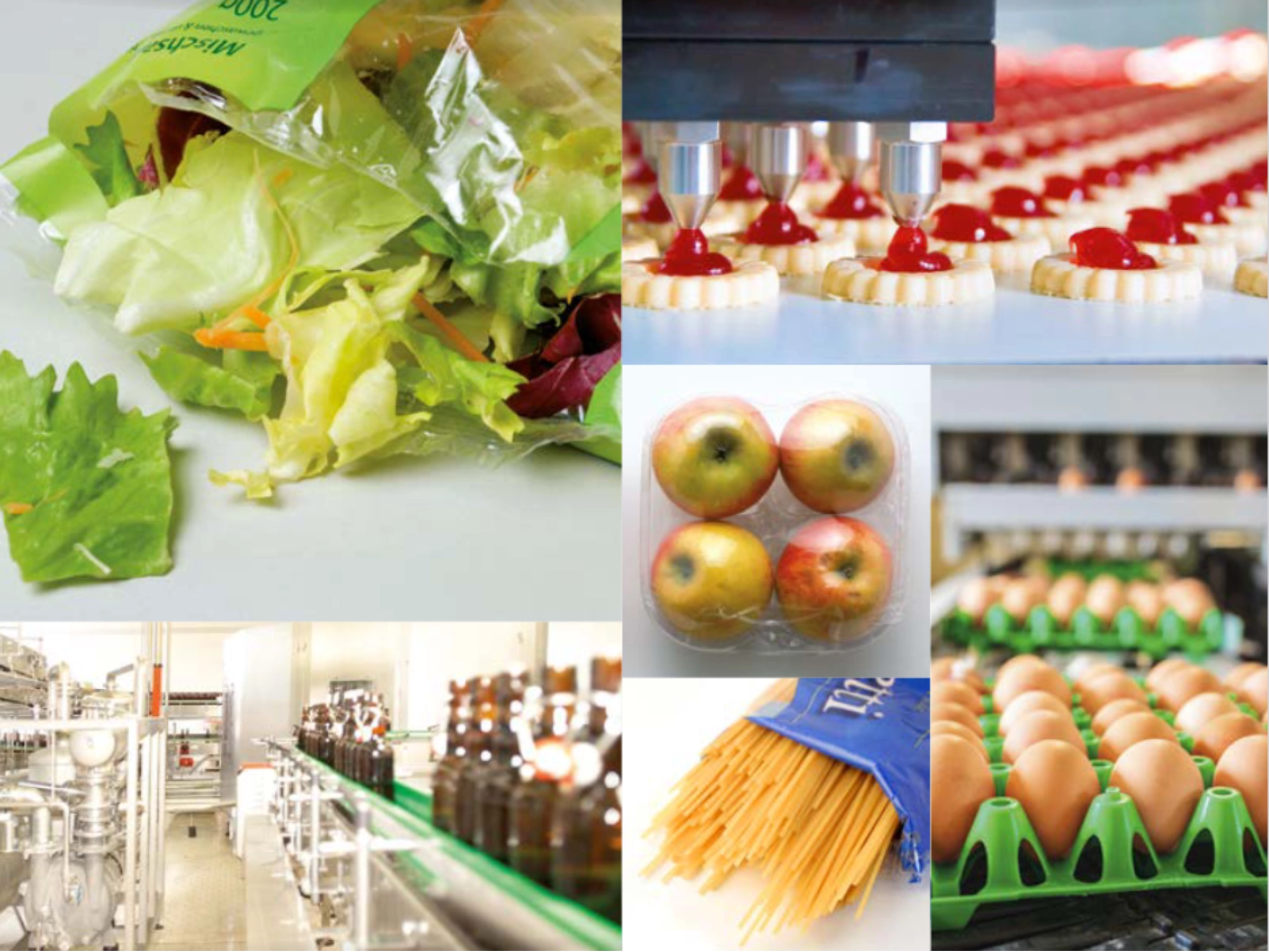Food and Beverages Industry PD Technik Maschinenbau GmbH Equipments and Solutions