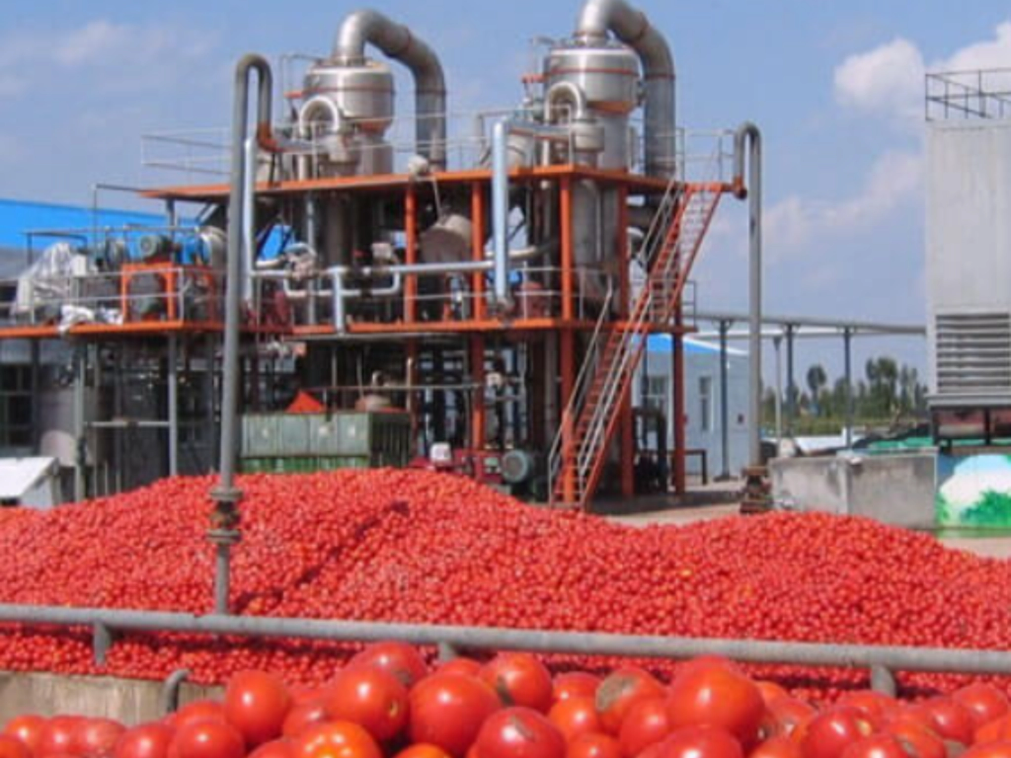 Tomato Sauce Production PD Technik Maschinenbau GmbH Equipments and Solutions